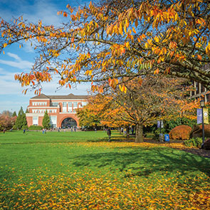 Fall tree on campus. Read about Gifts by Will