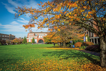 Photo of fall on campus